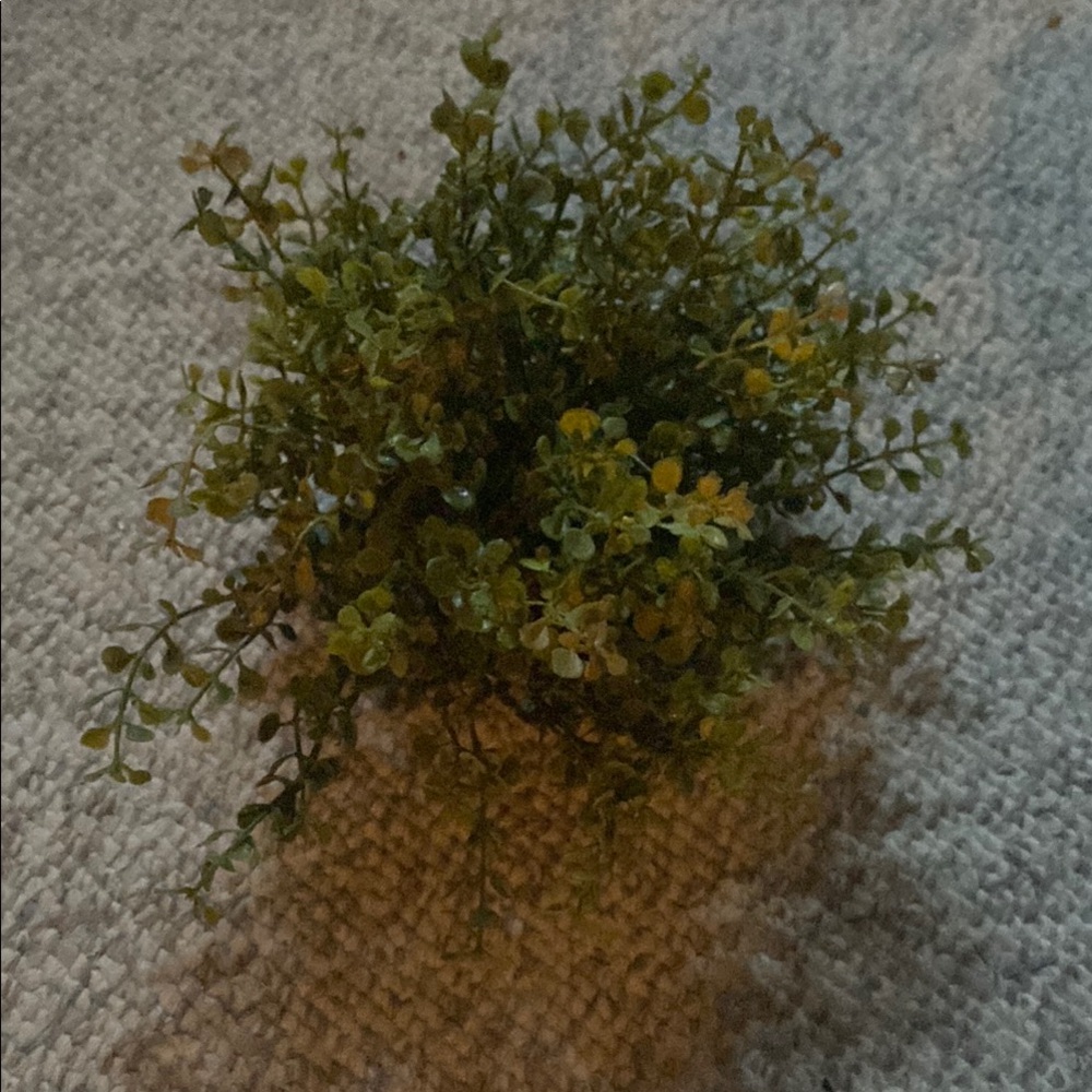 COPY - Green Eucalyptus Faux Floral Accent with Natural Wild-Growing Appearance